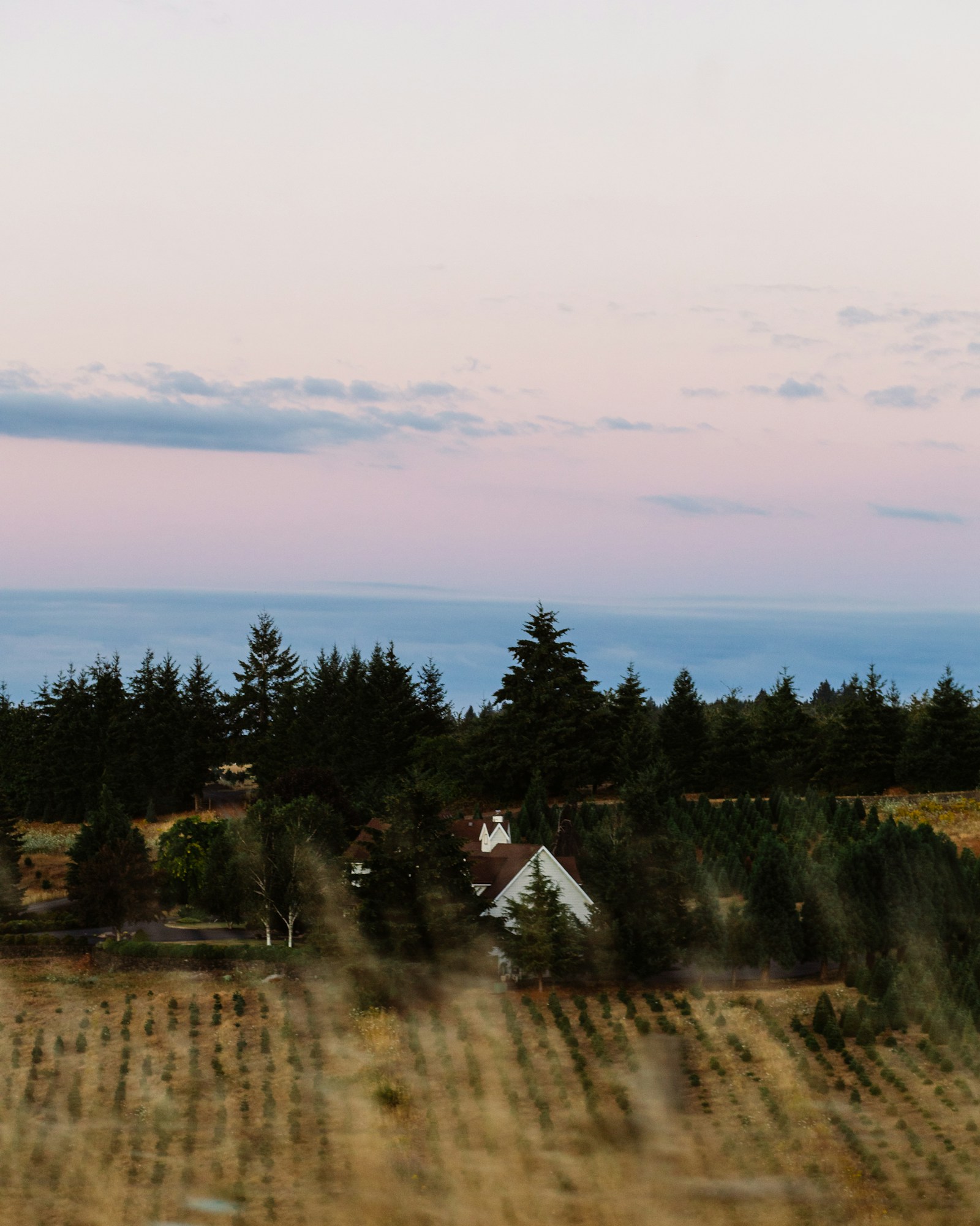 Pastel evening sky above a wooded Virginia estate